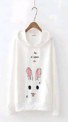 Lady's Hoodie