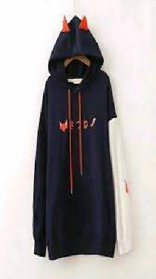 Lady's Hoodie