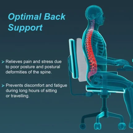 Back Rest Full