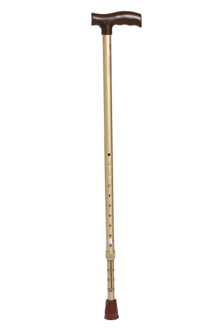 TYNOR WALKING STICK (L TYPE) L-08