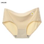 Ice Silk Comfortable Panty